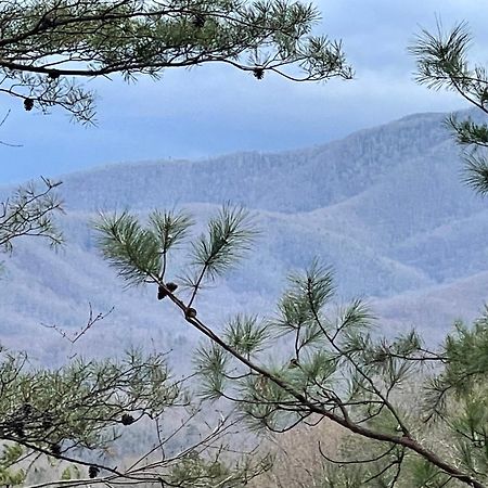 Mountain Love Nest Гатлинбург Экстерьер фото