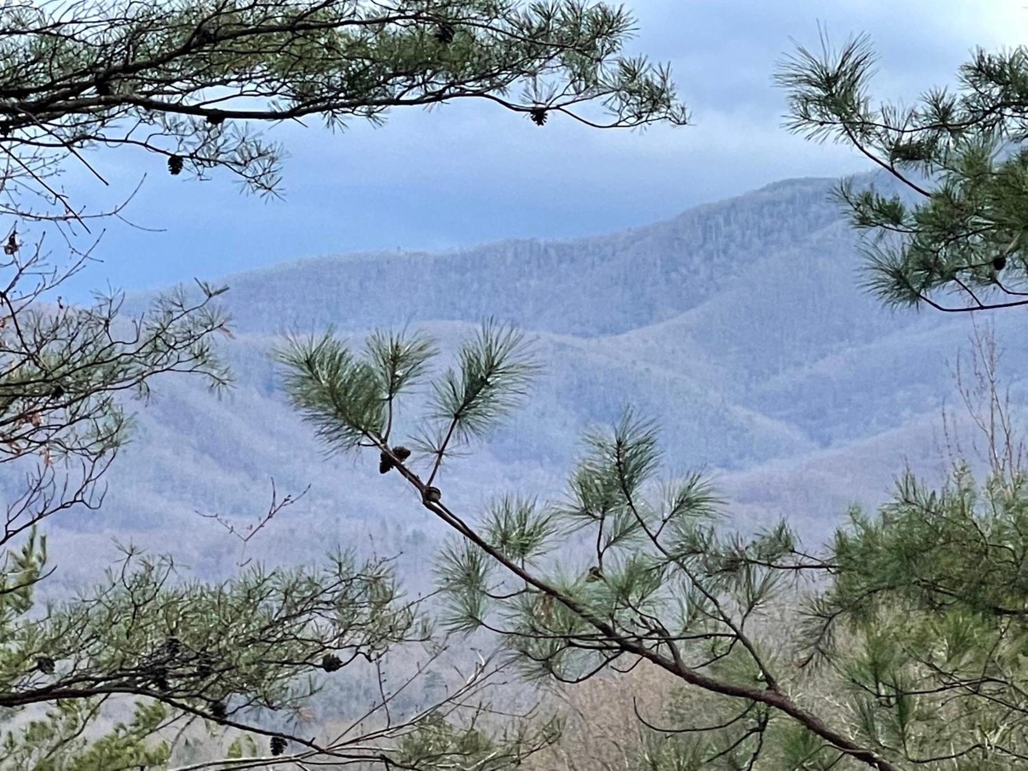 Mountain Love Nest Гатлинбург Экстерьер фото